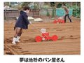 小麦栽培の授業が紹介されました