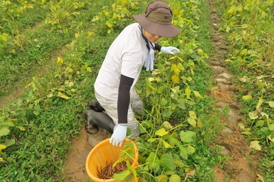 18tanba-4.jpg