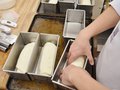 製パン実験でパンの特性をしっかりと理解する