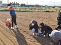 今年も小麦の種蒔きに行ってきました