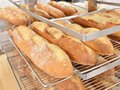 長時間発酵のフランスパンにも取り組んでいます