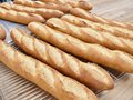 フランスパンで小麦粉の比較研究も