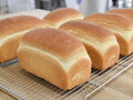 製パン実験でベストなパンづくりを探る