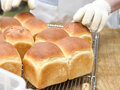 BIO(ビオ)食材を使用したパンづくりも