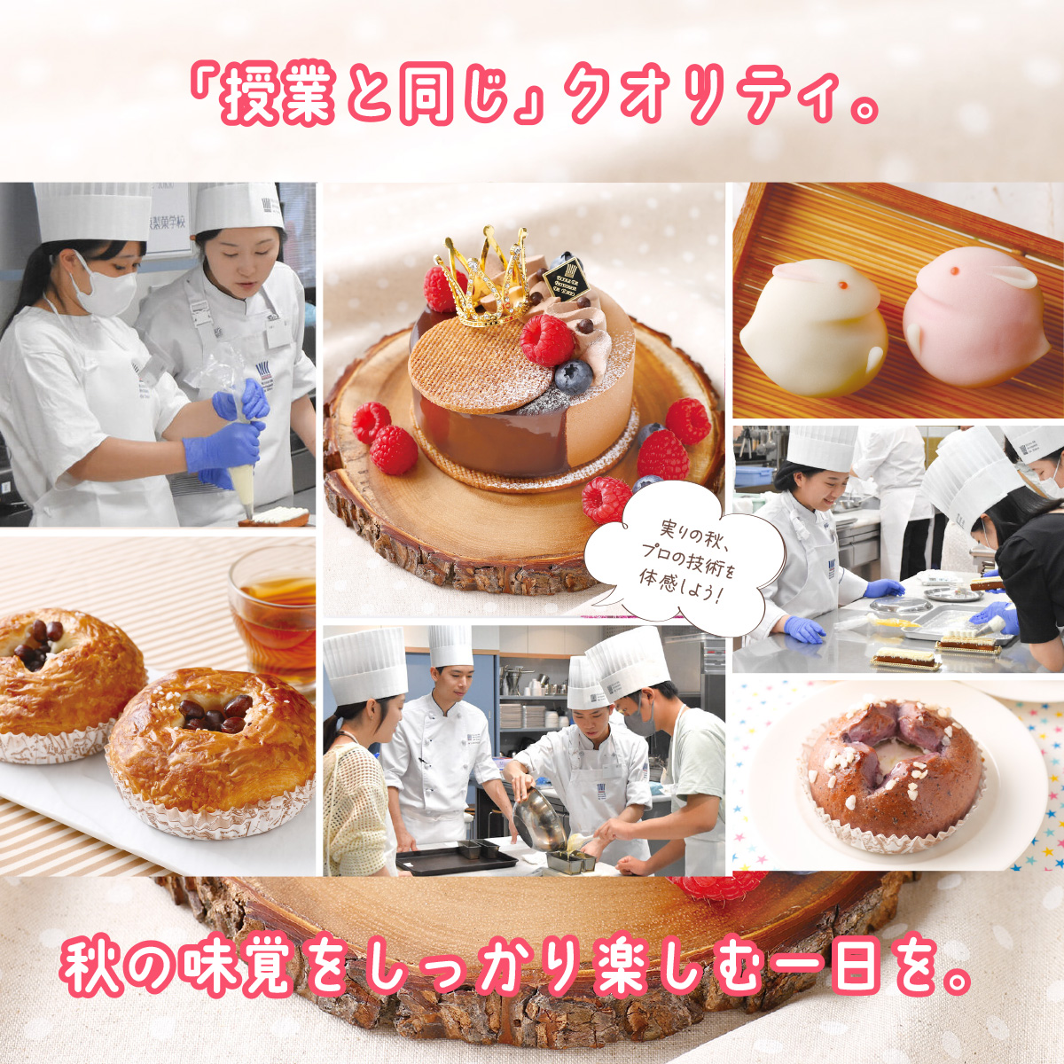 体験メニューフォト